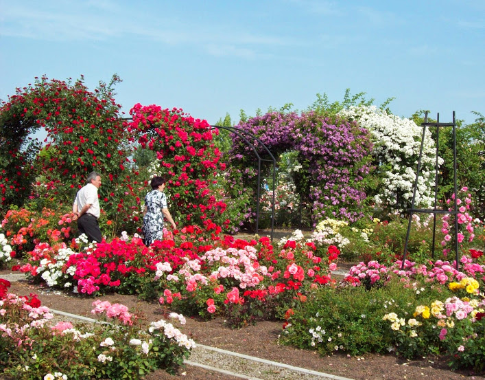 eutopia-gardens
